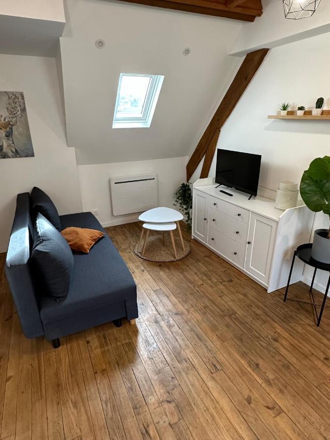 Superbe Appartement Mansarde Avec Mezzanine - Proche Centre Ville, Thermes, Aquensis Bagnères-de-Bigorre Dış mekan fotoğraf